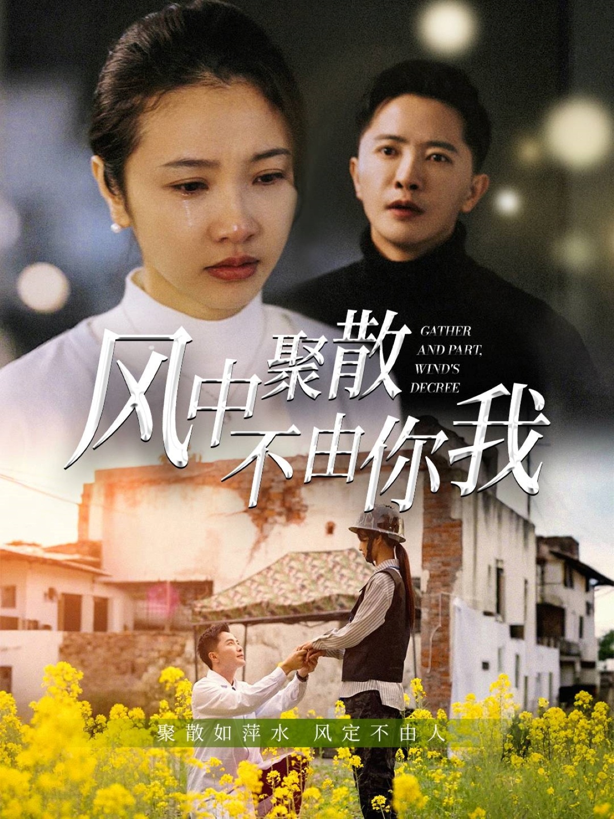风中聚散不由你我