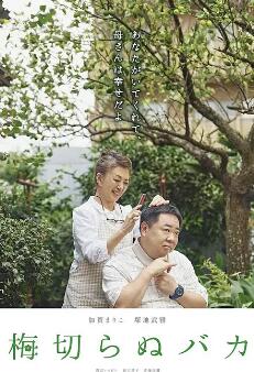 不砍梅树的傻瓜