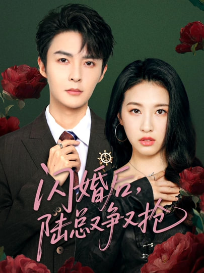 闪婚后陆总又争又抢