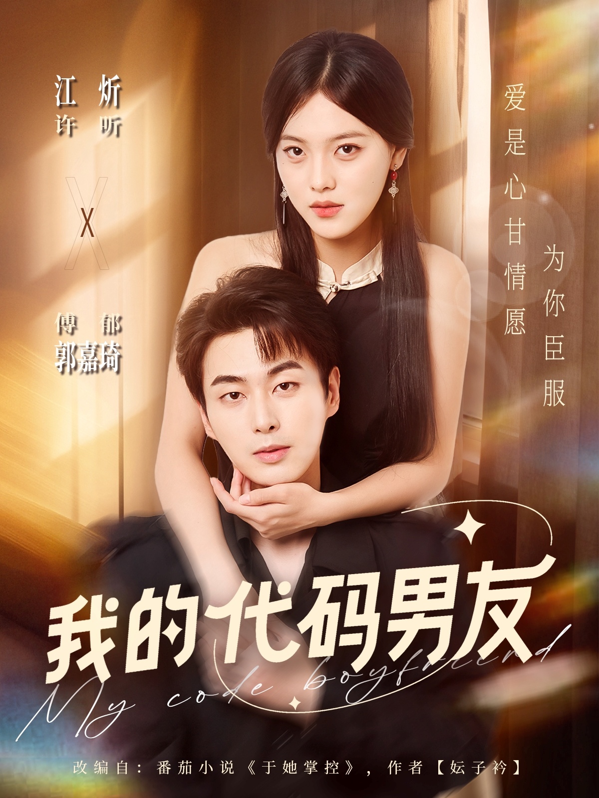 我的代码男友